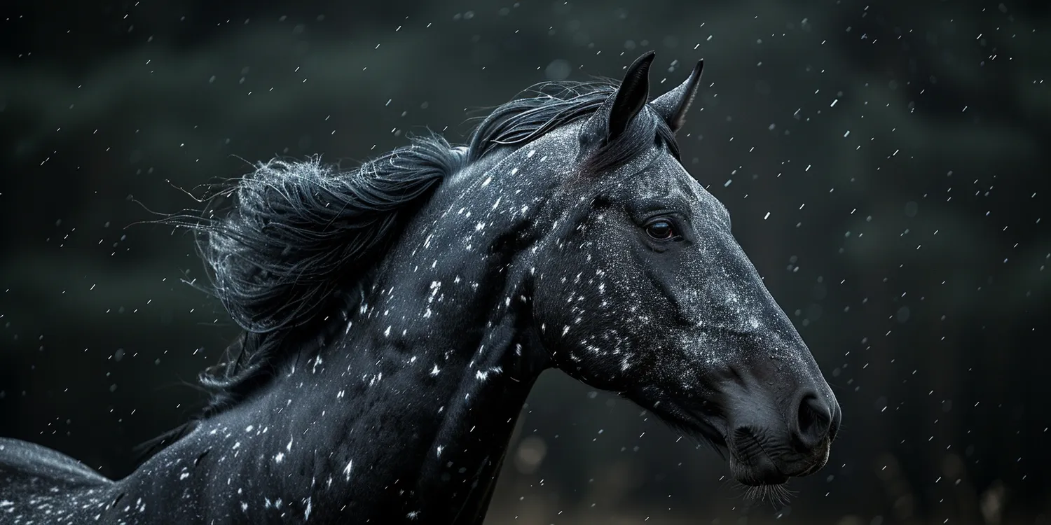 Czym jest kremacja zwierząt?