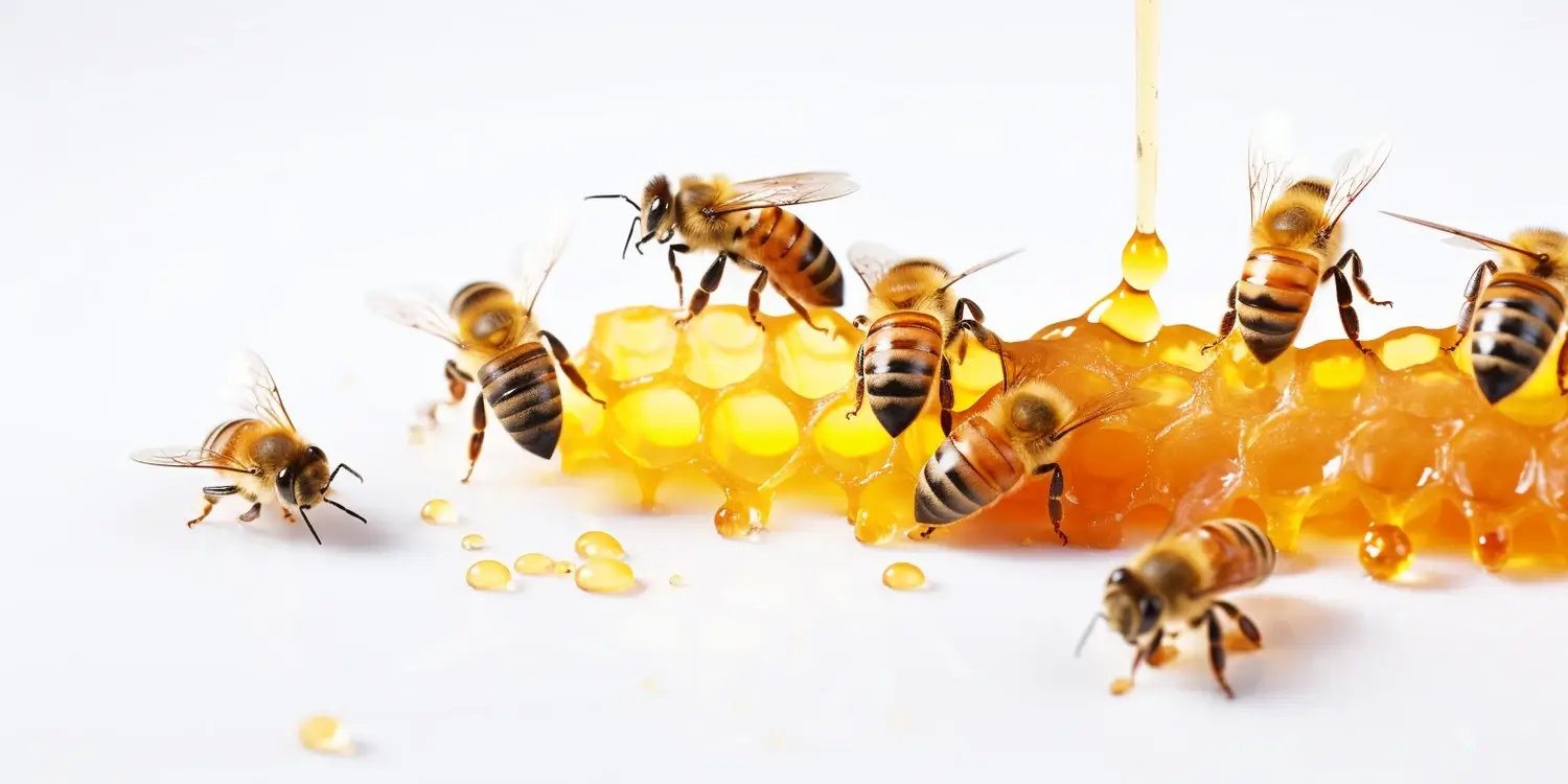 Dlaczego miód wrzosowy jest zdrowy?