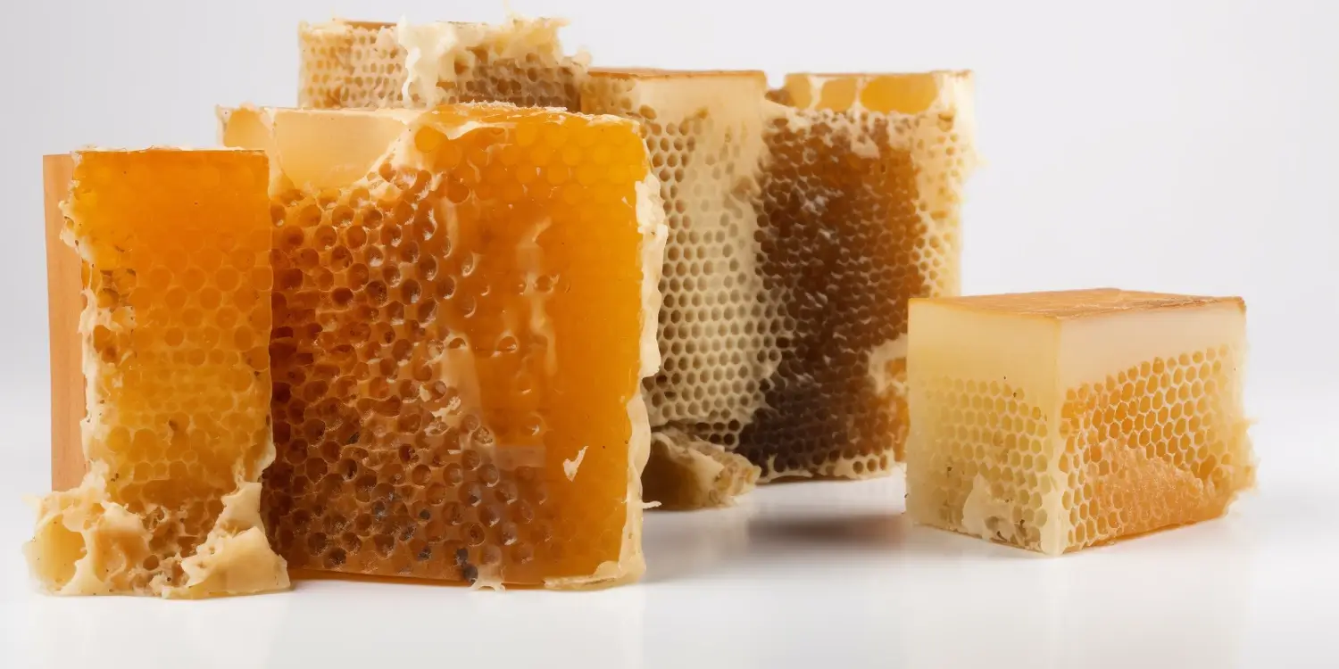 Miód rzepakowy - słodki nektar z polskich łąk